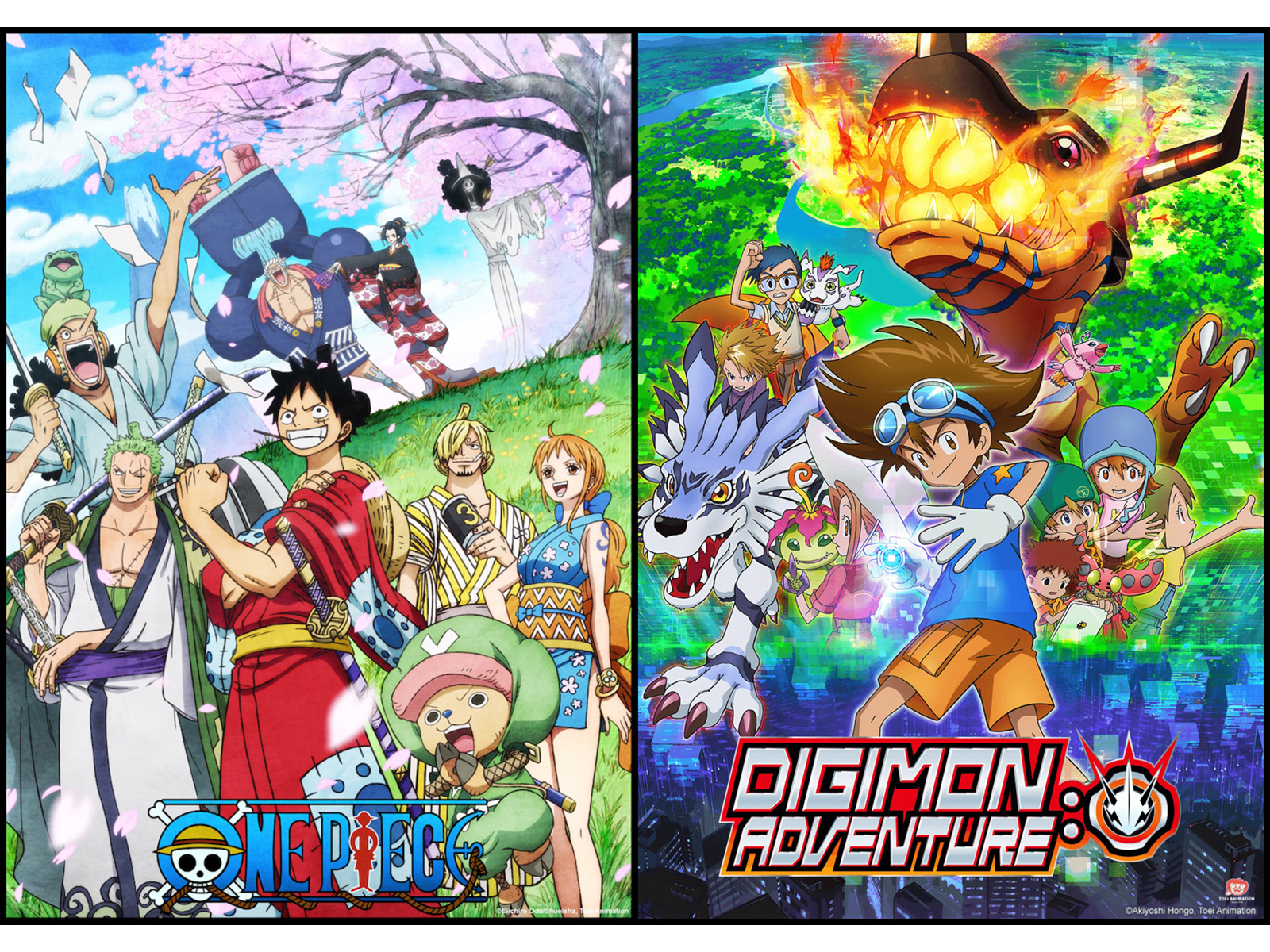 NEW EPISODES OF “ONE PIECE” & “DIGIMON ADVENTURE:” SUSPENDED DUE TO COVID-19